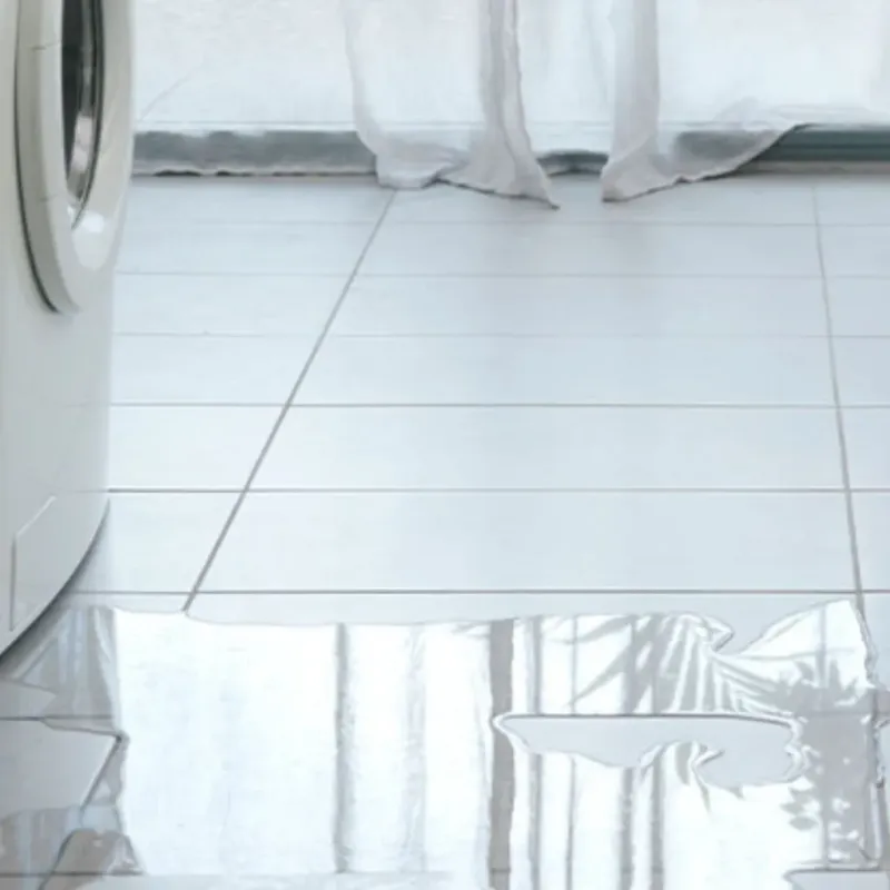 Appliance Leak Cleanup in Greensburg, LA