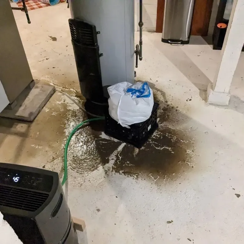Sewage Backup Cleanup Service in Greensburg, LA